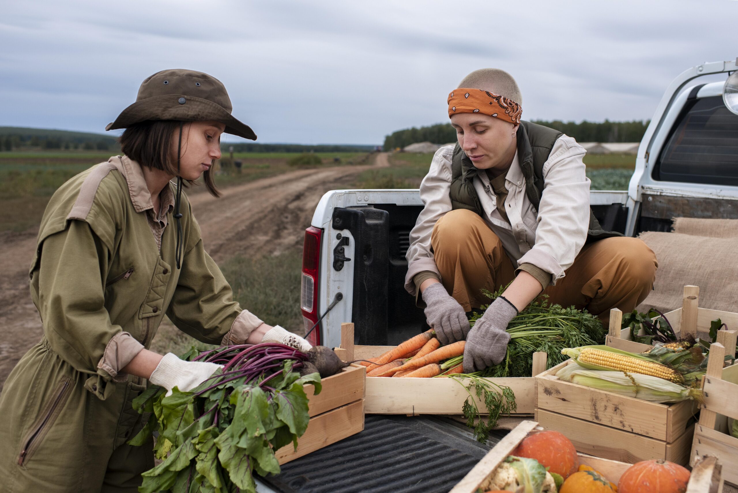 Afruimwagens: Complete Guide to Harvest Trailers in Modern Agriculture
