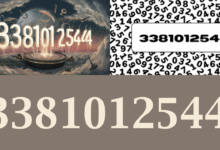 3381012544