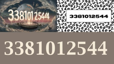 3381012544