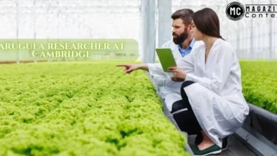 Decoding the NYT Mini Crossword: Arugula Researcher at Cambridge