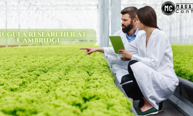 Decoding the NYT Mini Crossword: Arugula Researcher at Cambridge