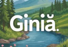 Giniä: Exploring the Meaning, Uses, and Cultural Significance of This Unique Term