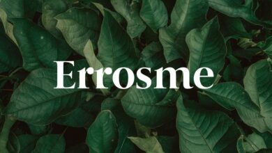 Erosme: The Complete Guide to Meaning, Uses, and Importance