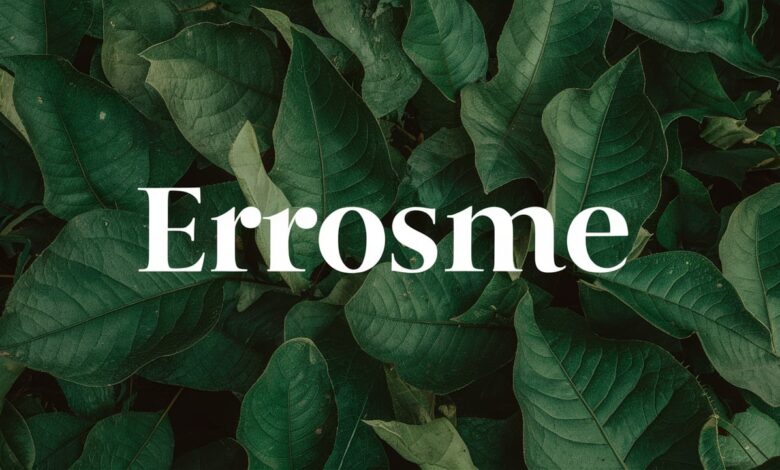 Erosme: The Complete Guide to Meaning, Uses, and Importance