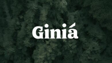 Giniä: Unveiling the Origins, Meaning, and Rising Significance of a Mysterious Name