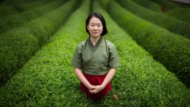 From Japan to Your Cup: The Story of Bin Matcha