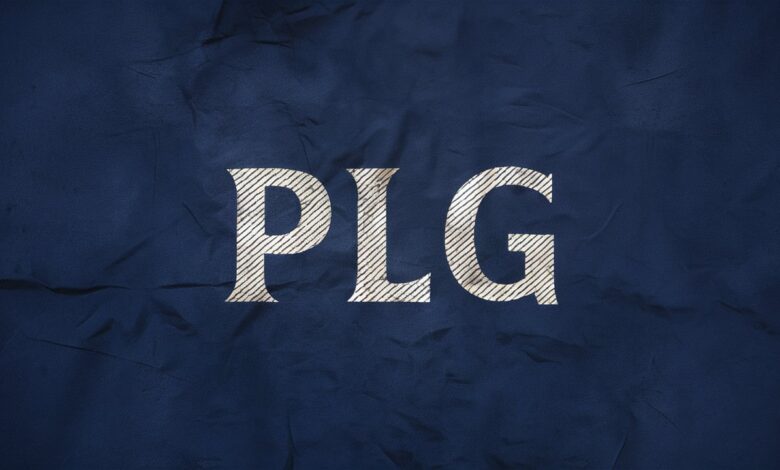 PLG Supplies: Your Complete Guide to Quality Products and Reliable Services