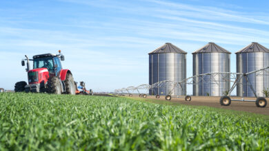 Afruimwagens: Complete Guide to Harvest Trailers in Modern Agriculture