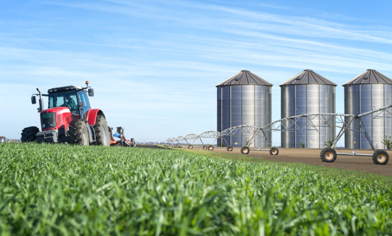 Afruimwagens: Complete Guide to Harvest Trailers in Modern Agriculture