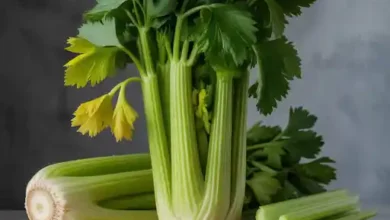 Pravi Celer: The Complete Guide to Real Celery, Nutrition, and Health Benefits