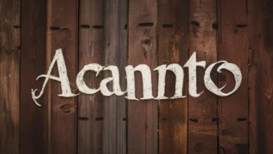 Acamento: Meaning, Applications, and Importance in Modern Context