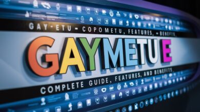 gaymetu e