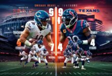 chicago bears vs houston texans match player stats